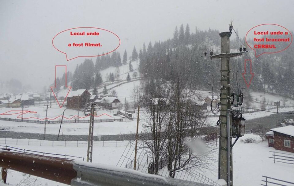 Imagine cu locul unde alerga cerbul și locul unde a fost braconat