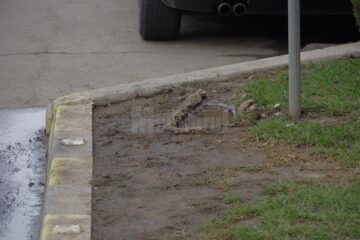 Spațiile verzi din centrul Sucevei, distruse de roțile mașinilor parcate ilegal