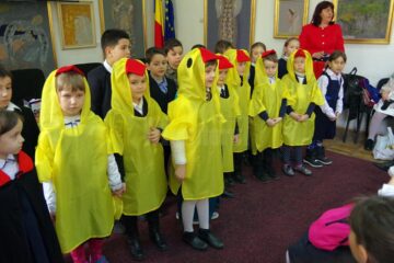 Proiect de promovare a lecturii pentru elevii Școlii Gimnaziale Verești