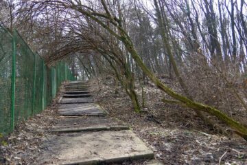 Pericol pe aleile de acces spre Cetatea Sucevei, din cauza copacilor rupți