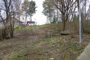 Pericol pe aleile de acces spre Cetatea Sucevei, din cauza copacilor rupți