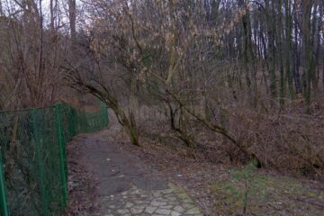Alei distruse și copaci gata să cadă