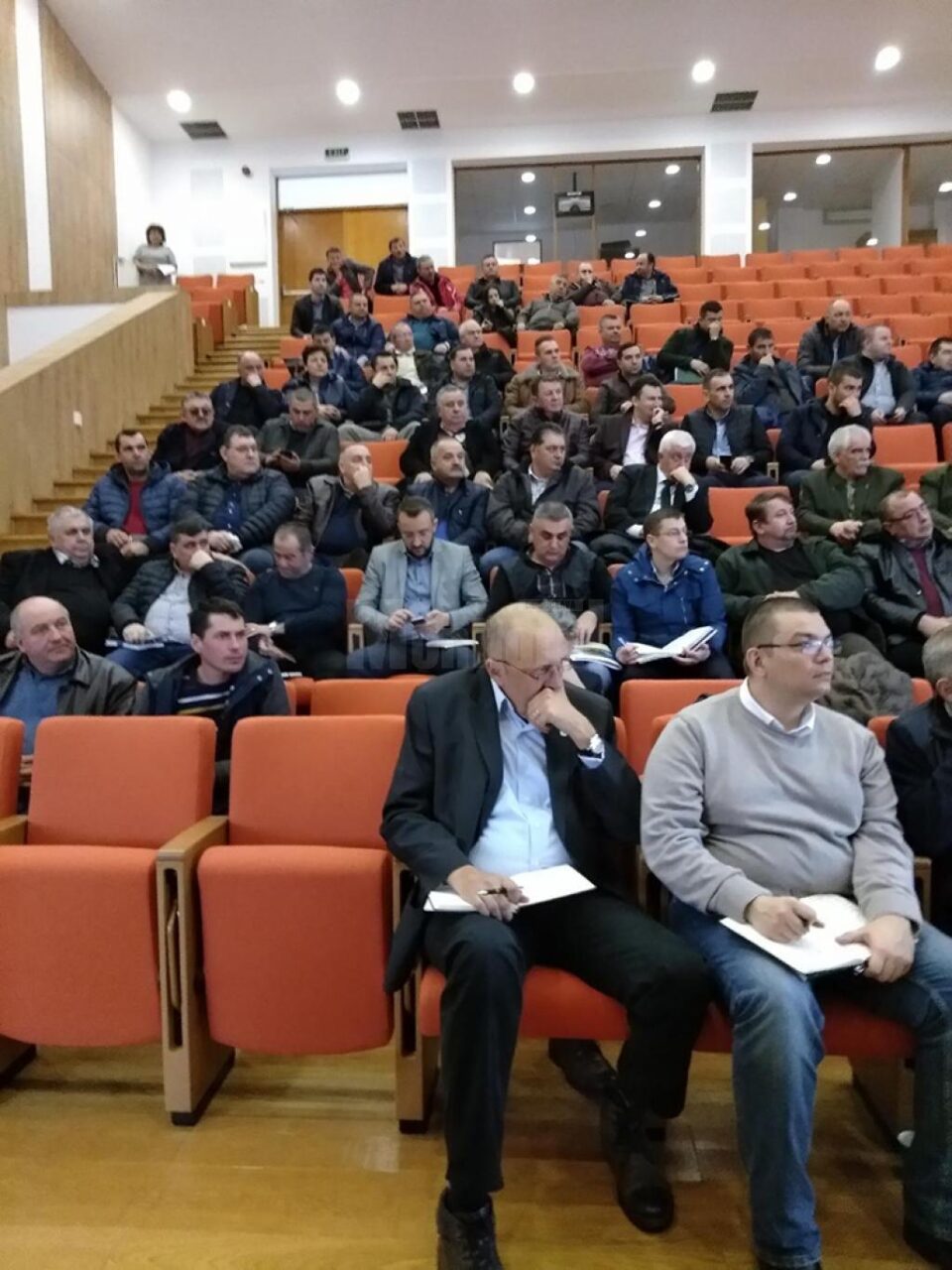 Sectorul forestier, 100% românesc, în pragul unei crize profunde