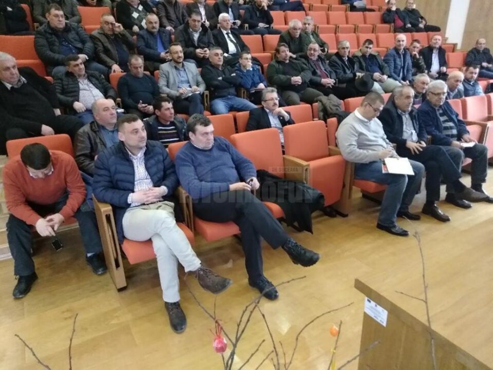 Sectorul forestier, 100% românesc, în pragul unei crize profunde