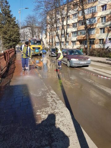 Lungu a ieșit la curățenie și la plantare de arbori, în zona centrală a Sucevei