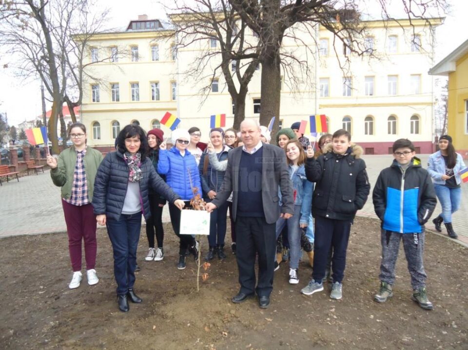 ”Stejarul Centenarului”, plantat în curtea Școlii Gimnaziale ”Petru Mușat” Siret