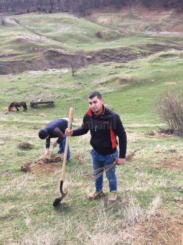 Acțiune de plantare de puieți de salcâm în comuna Pătrăuți
