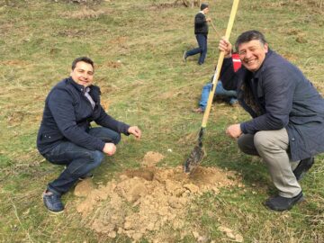 Acțiune de plantare de puieți de salcâm în comuna Pătrăuți