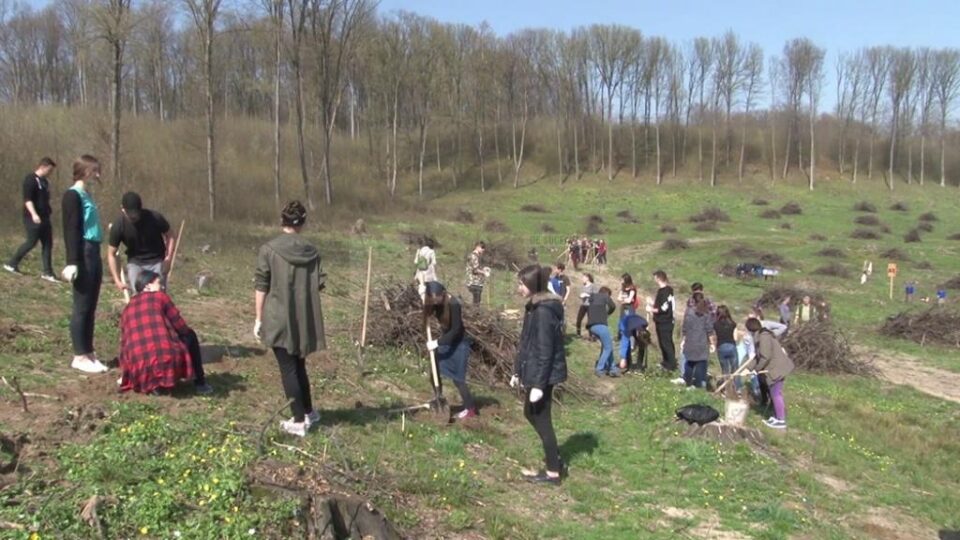 Elevii au lucrat în echipă