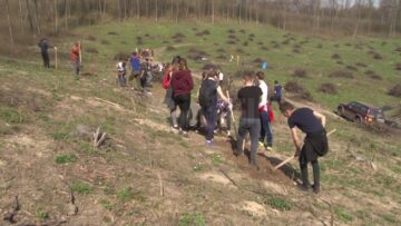 500 de puieți plantați în cantonul Mihoveni, de elevi ai Colegiului „Spiru Haret”