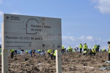 Prima campanie de plantare din cadrul campaniei "Pădurea de Mâine"