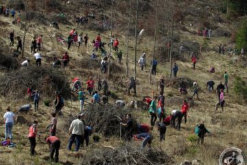 Campania „Hai la înverzit” a mobilizat ]n fiecare an o mulțime de voluntari