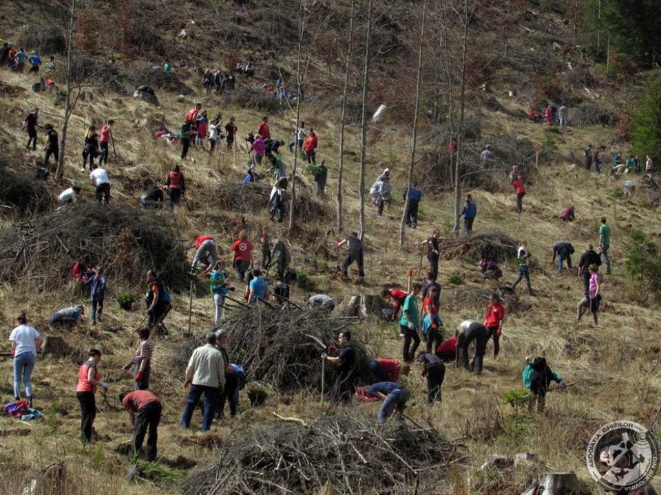 Campania „Hai la înverzit” a mobilizat ]n fiecare an o mulțime de voluntari