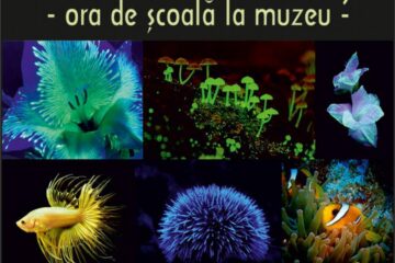 Lecția muzeală „Bioluminiscența în lumea vie”, la Muzeul de Științele Naturii