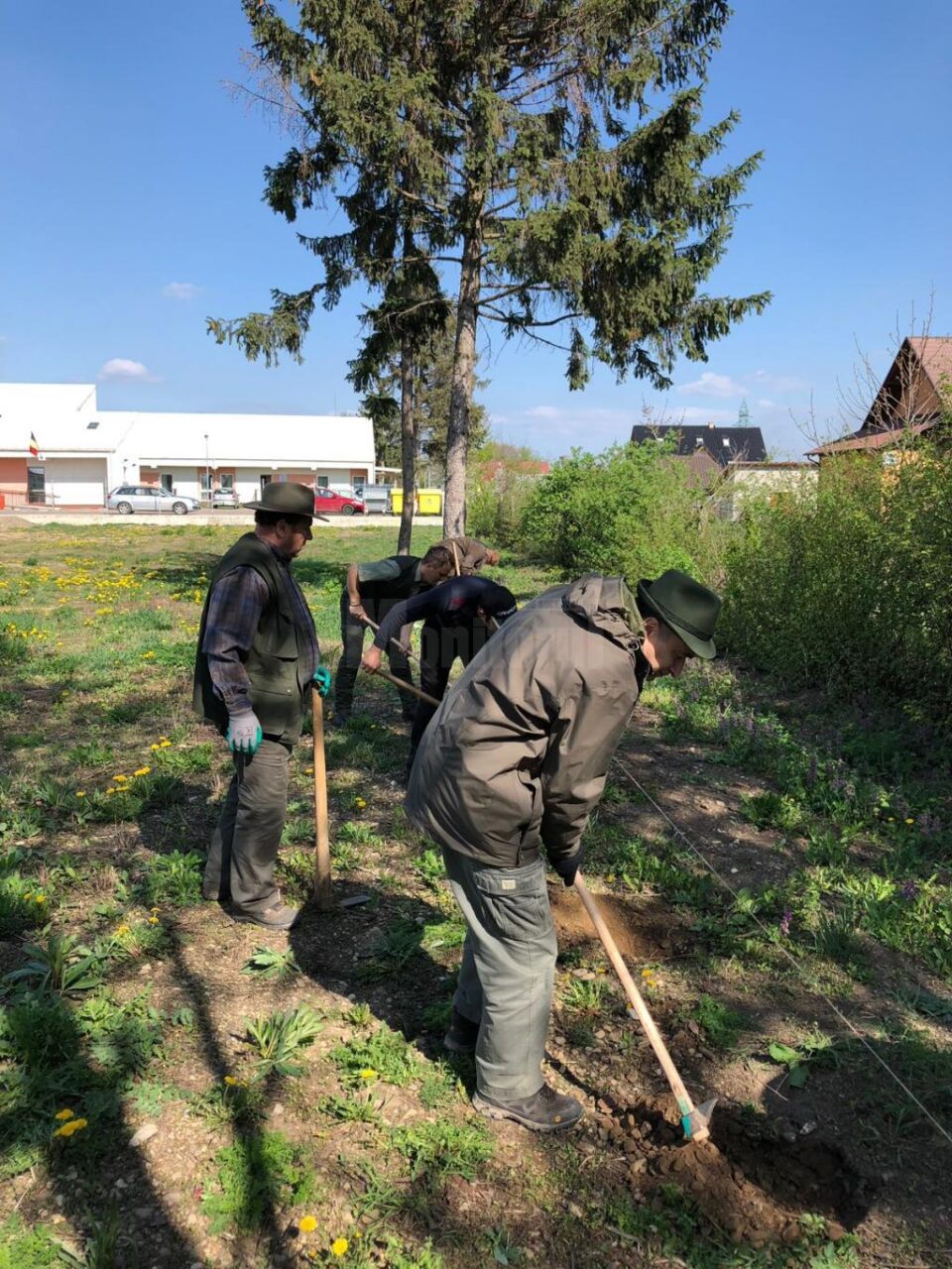 Peste 200 puieți plantați de Garda Forestieră Suceava 2