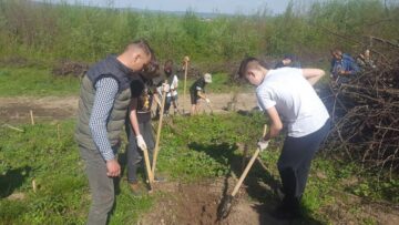Ample acțiuni de împădurire organizate de Direcția Silvică Suceava, în „Luna plantării arborilor”