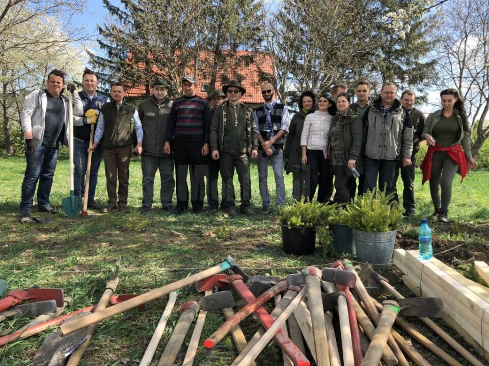 Peste 200 puieți plantați de Garda Forestieră Suceava