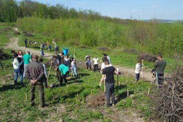 Elevii au plantat 1.000 de arbori la Mihoveni