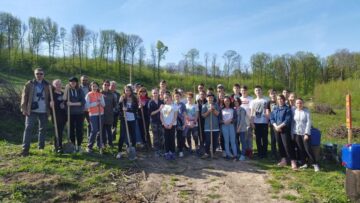 Ample acțiuni de împădurire organizate de Direcția Silvică Suceava, în „Luna plantării arborilor”