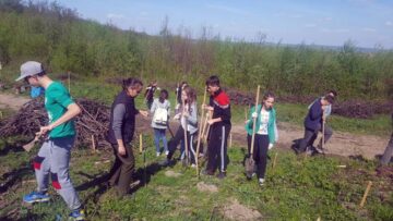 Ample acțiuni de împădurire organizate de Direcția Silvică Suceava, în „Luna plantării arborilor”