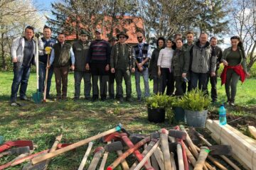 Garda Forestieră Suceava a plantat peste 200 de puieți pe raza municipiului Rădăuți