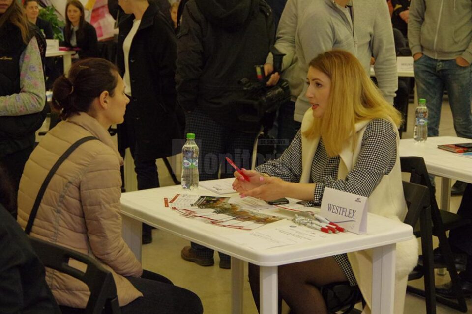 Ofertă foarte bogată, de aproape o mie de locuri de muncă, pentru suceveni