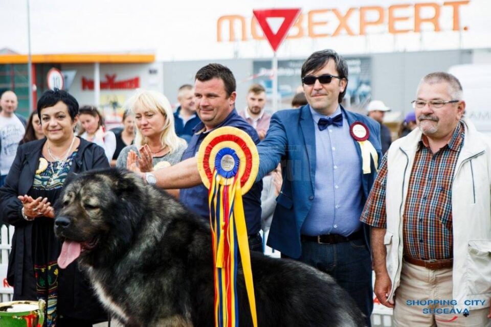 Bucovina Dog Show, la Shopping City Suceava