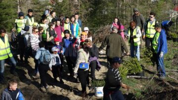 Peste 20.000 de puieți de arbori, plantați de voluntari, la ocoalele silvice Vama și Pojorâta