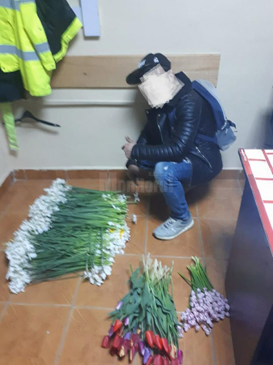 Peste 2.000 de narcise și 100 de lalele au fost identificate în bagajele hoților