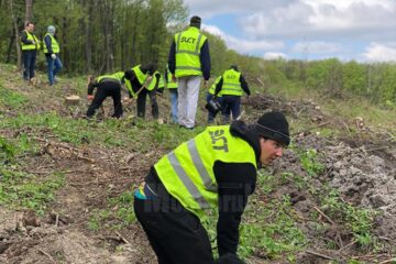 Angajații SUCT au ajutat la plantarea unui teren accidentat din Zvoriștea