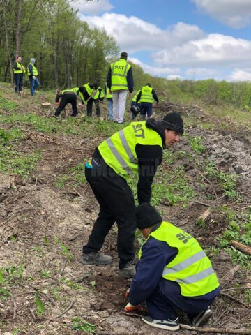 Angajații SUCT au ajutat la plantarea unui teren accidentat din Zvoriștea