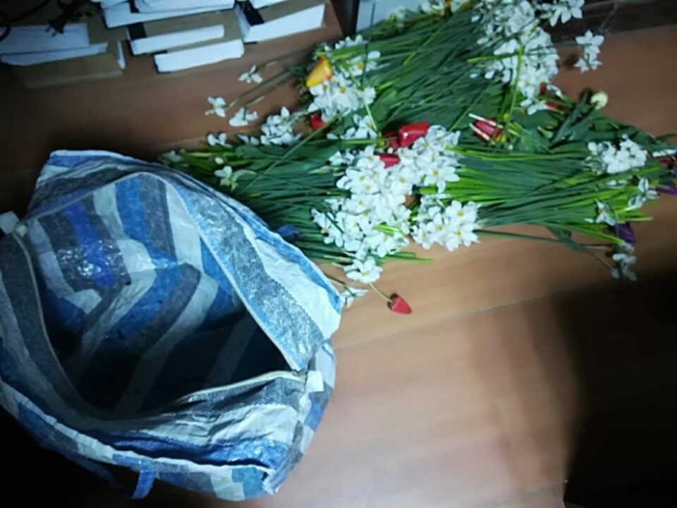Doi tineri, prinși de jandarmi după ce au furat peste 2.000 de flori din cimitir