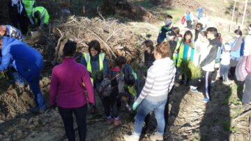 Peste 20.000 de puieți de arbori, plantați de voluntari, la ocoalele silvice Vama și Pojorâta