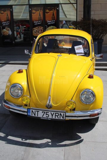 Spectacol automobilistic