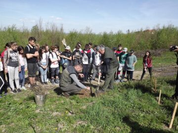 Elevii Școlii Gimnaziale Nr. 4 au plantat 1.000 de puieți la Mihoveni