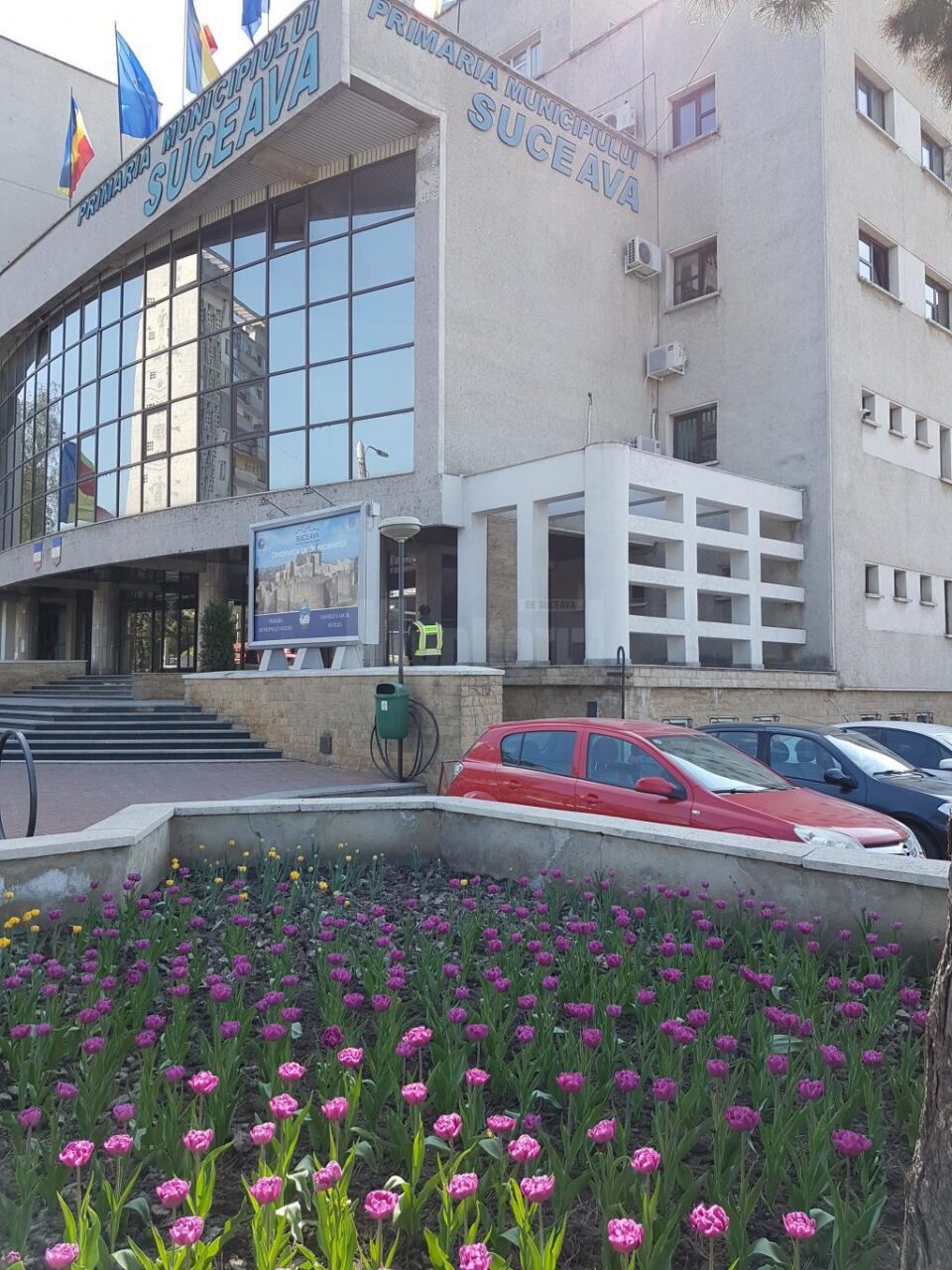 Primaria Suceava