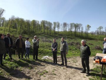 Elevii Școlii Gimnaziale Nr. 4 au plantat 1.000 de puieți la Mihoveni