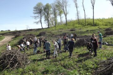 Elevii Școlii Gimnaziale Nr. 4 au plantat 1.000 de puieți la Mihoveni