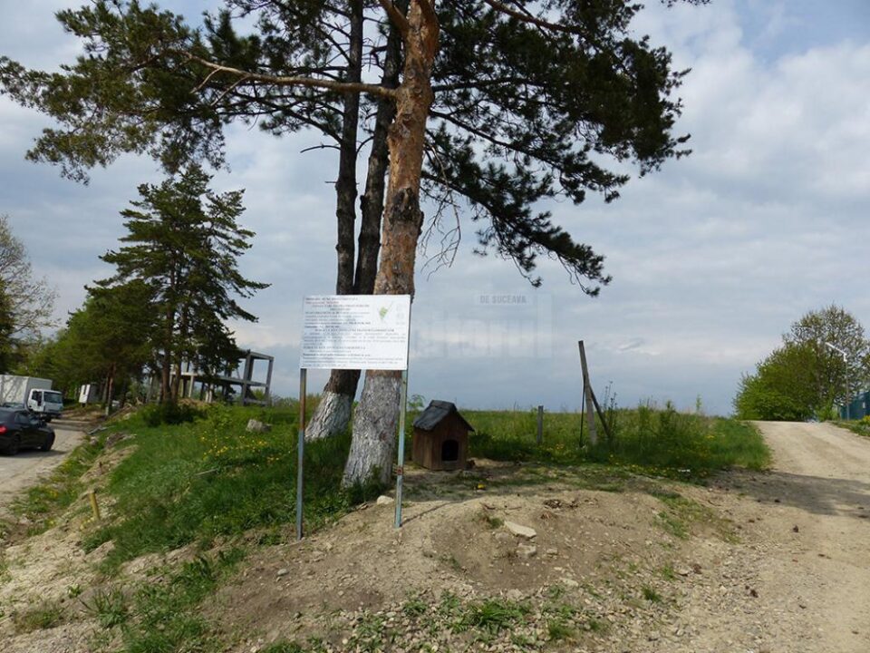 Locul unde cei de la SC Prolisok SRL vor să obțină autorizația de construcție pentru bloc Locul unde cei de la SC Prolisok SRL vor să obțină autorizația de construcție pentru bloc