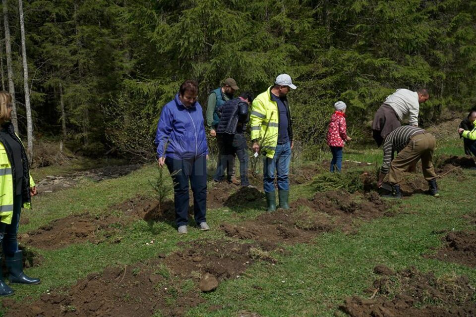 Campanie de împădurire la Moldovița dedicată Centenarului Marii Uniri