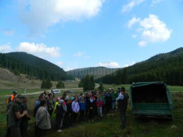Peste 3.500 de puieți de molid și larice, plantați la Cârlibaba