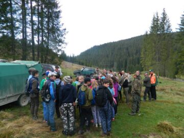 Peste 3.500 de puieți de molid și larice, plantați la Cârlibaba