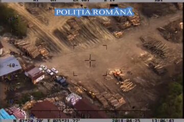 Amplă acțiune de control a polițiștilor în județele Mureș, Suceava și Bistrița-Năsăud, pe linia verificării legalității operațiunilor de exploatare forestieră din Parcul Național Călimani și zonele adiacente