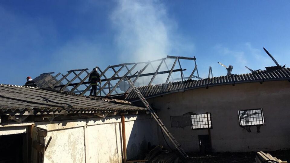 Incendiul a distrus peste 250 de metri pătrați din adăpostul de animale