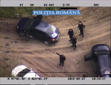 Peste 900 de mc lemn confiscat de polițiști, în urma unei ample acțiuni în Călimani