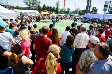 Sute de câini de rasă, din țară și de peste hotare, într-un spectacol deosebit, la Bucovina Dog Show 2018
