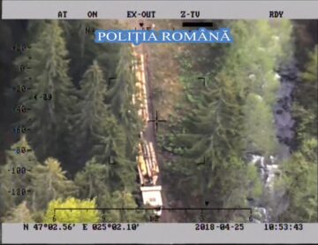 Peste 900 de mc lemn confiscat de polițiști, în urma unei ample acțiuni în Călimani