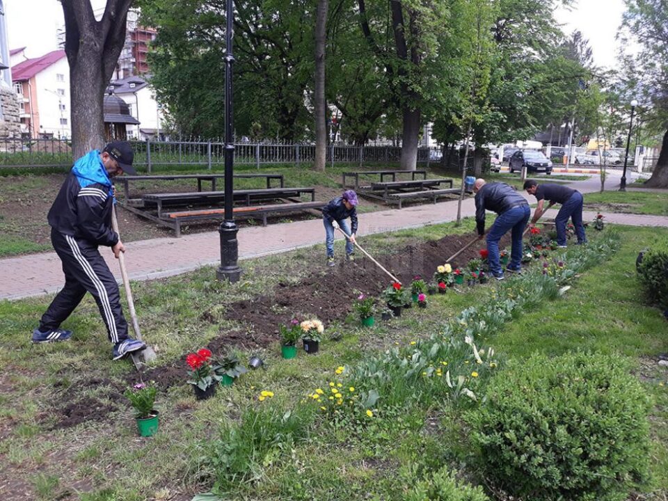 Refugiați din Irak, Afganistan, Pakistan și Iran la plantat flori