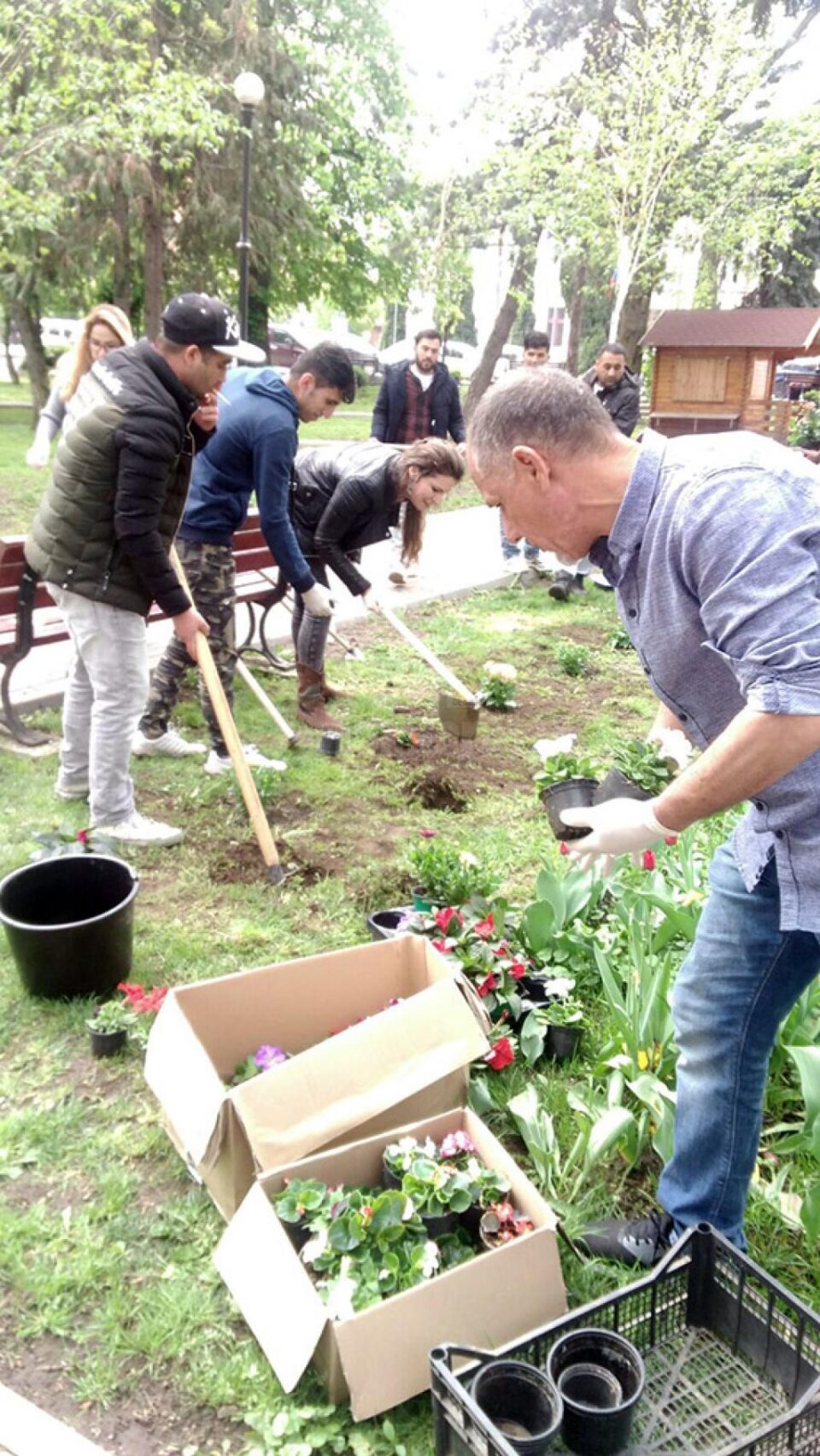 Refugiați din Irak, Afganistan, Pakistan și Iran la plantat flori