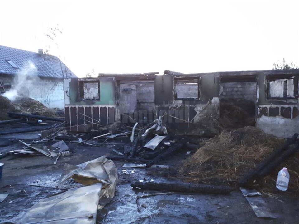 Incendiu puternic, extins la două gospodării, la Costișa - Frătăuții Noi